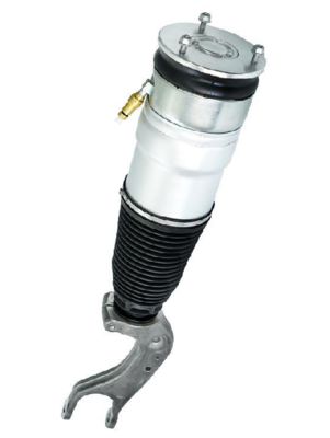 Tylny moduł zawieszenia pneumatycznego Tesla Model S dla Dual Motor 2012-2021